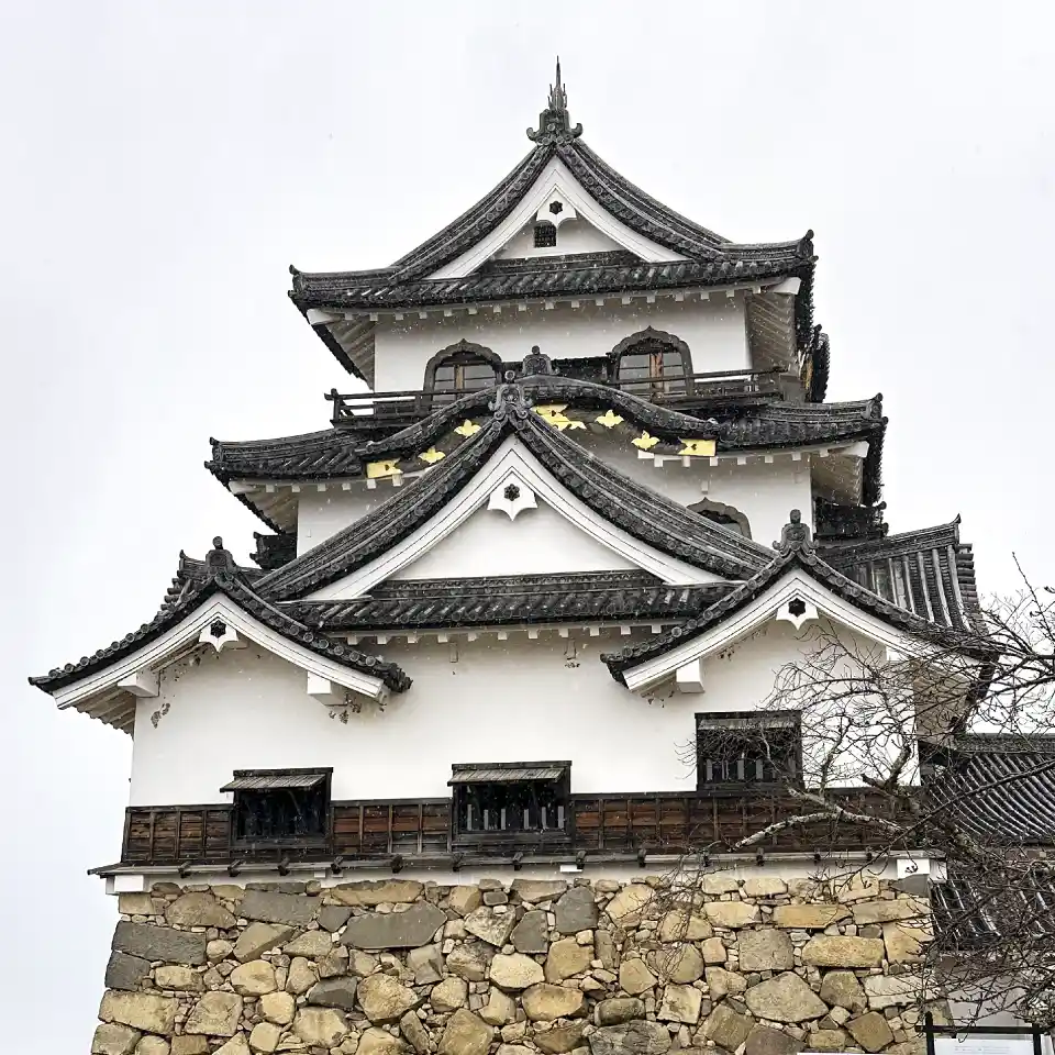 トップメインイメージ滋賀